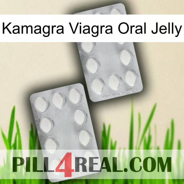 Kamagra Viagra Oral Jelly 17